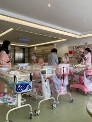 -维倪月子会所(独栋庭院·南海店)
