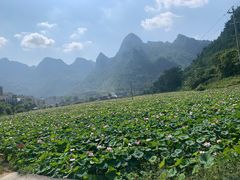 -长寿村