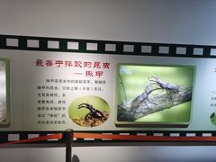 -上海昆虫博物馆