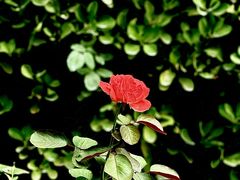 -中关村生命科学园