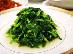 清炒豆苗-蝶园·装修中(BFC外滩金融中心店)