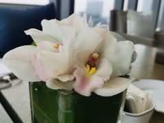 -悦厅·下午茶(杭州柏悦酒店)