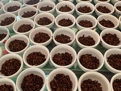 -80红枣鸡腊排骨(总店)