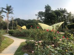 -人民公园(罗湖区)