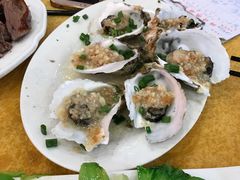 -鸿达渔港