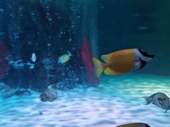 -沈阳海洋探索中心