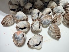 -瓯菜排档·温州海鲜(玕南店)