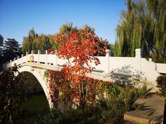 -大兴滨河森林公园