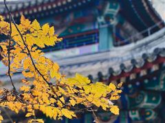 -香山公园