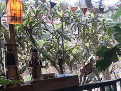 -懒鱼时光馆(沙坪坝店)