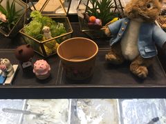 -歎雪糕低糖低脂Gelato冰淇淋