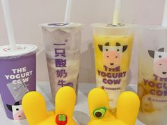 百香菠萝酸奶多-一只酸奶牛(八一路店)