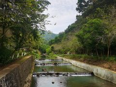 -广州白江湖森林公园