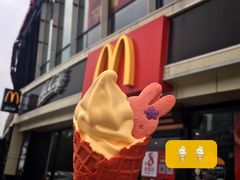 芒小芝-麦当劳(宾水西道店)