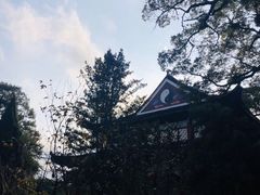 -龙虎山世界地质公园博物馆