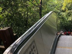-天目湖山水园