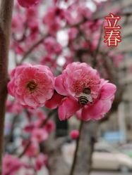 -哈妮儿童摄影(德清店)