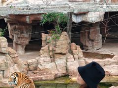 -长鹿旅游休博园