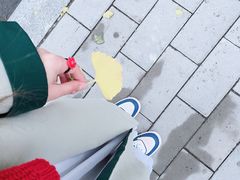 -三里屯东五街银杏大道