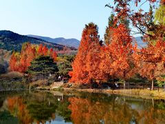 -国家植物园