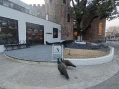 -J Create城市露营咖啡·简餐·宠物(上海动物园店)