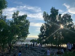 -宝安西湾红树林湿地公园