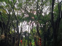 -嘉和K6温泉微度假