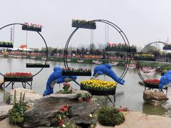 -荷兰花海