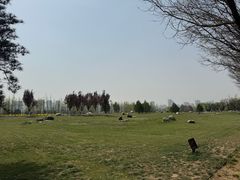 -汉长安城未央宫国家考古遗址公园