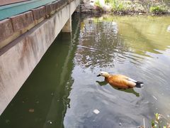 -河北省园博园