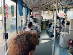 -柳湖沙月沙滩公园