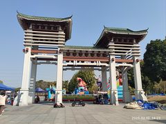 -王借岗森林公园