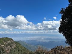 -鸡足缘·海稍鱼•野生菌火锅