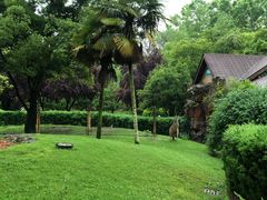 -扬州市茱萸湾风景区