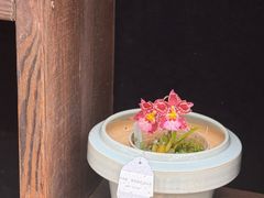 -北京植物园-展览温室