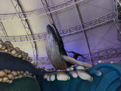 -烟台海昌鲸鲨海洋公园