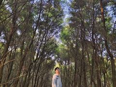 -白鹭湾湿地公园