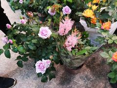-双季花艺园艺市场(浦东店)