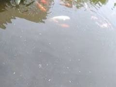 -天目湖涵田半山温泉