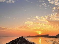 -南汇嘴观海公园
