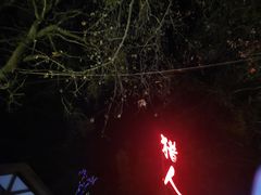 -猎人苑