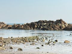 -小麦岛公园