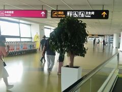 -郑州新郑国际机场