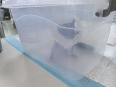 -美美宠物诊疗中心·异宠·骨科(滨江东信分院)