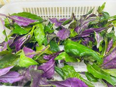 -黔府豆米火锅野菜馆(南马店)