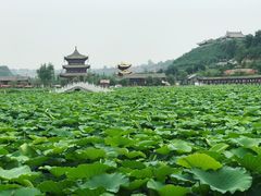 -渭南桃花源民俗文化园