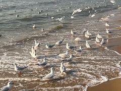 -老虎石海上公园