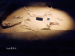 -洛阳周王城天子驾六博物馆