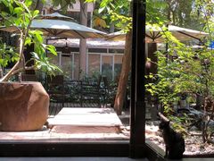 -生机蔬食·24节气料理餐厅(番禺广场店)