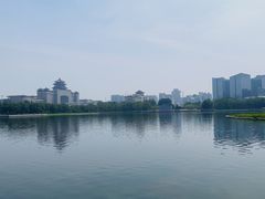 -莲花池公园